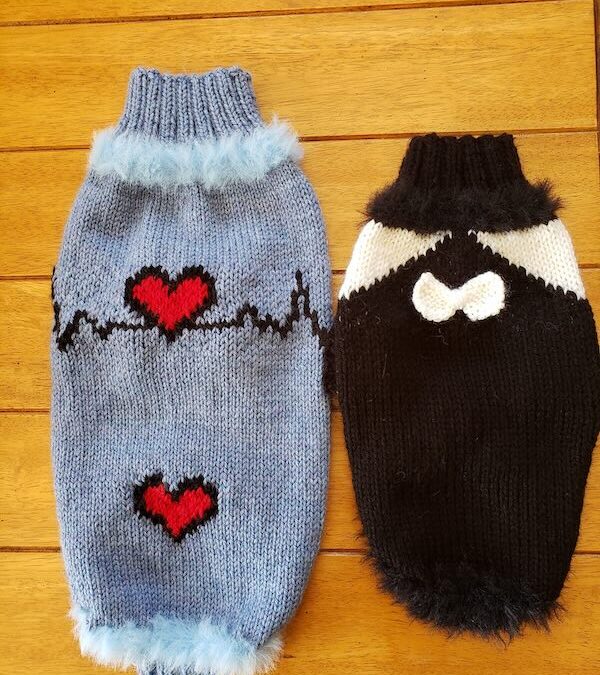 02 FDS #1 – Tricot Chien Chaud